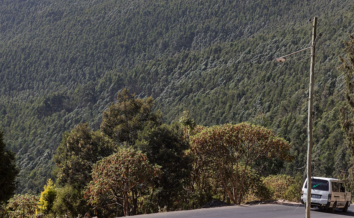 Entonto Mountains