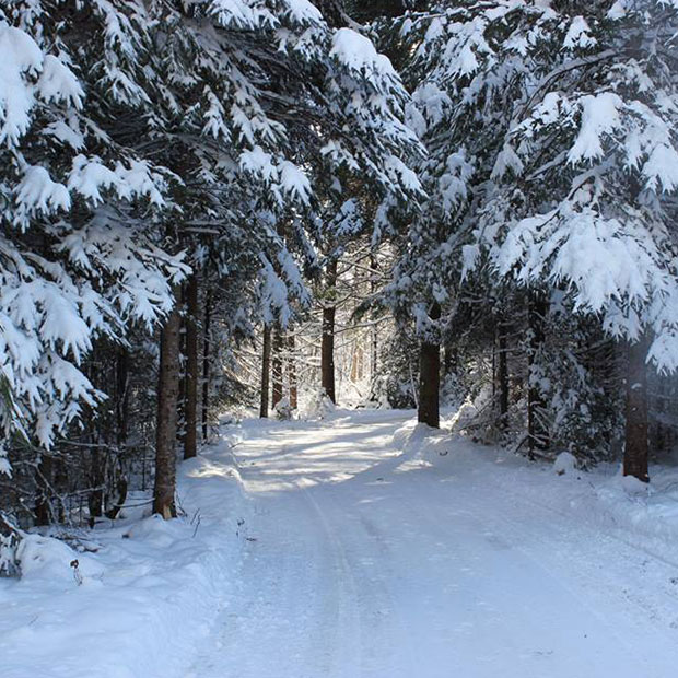 Patinoire en forêt « Au coeur du Lac des loups » Tourisme Outaouais Tourisme Outaouais