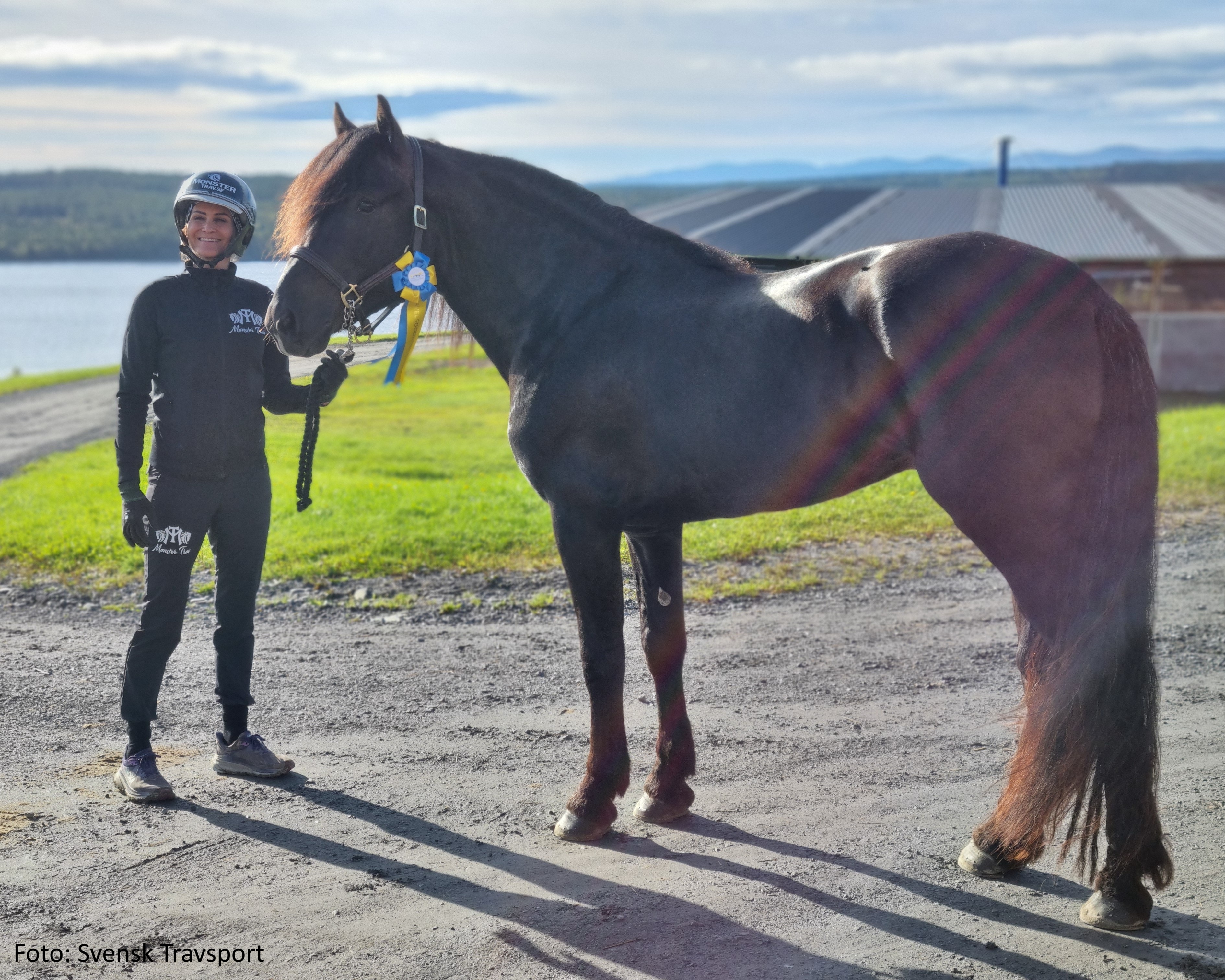 Myrs_Are_1_002_kbmp6g