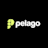 Company icon