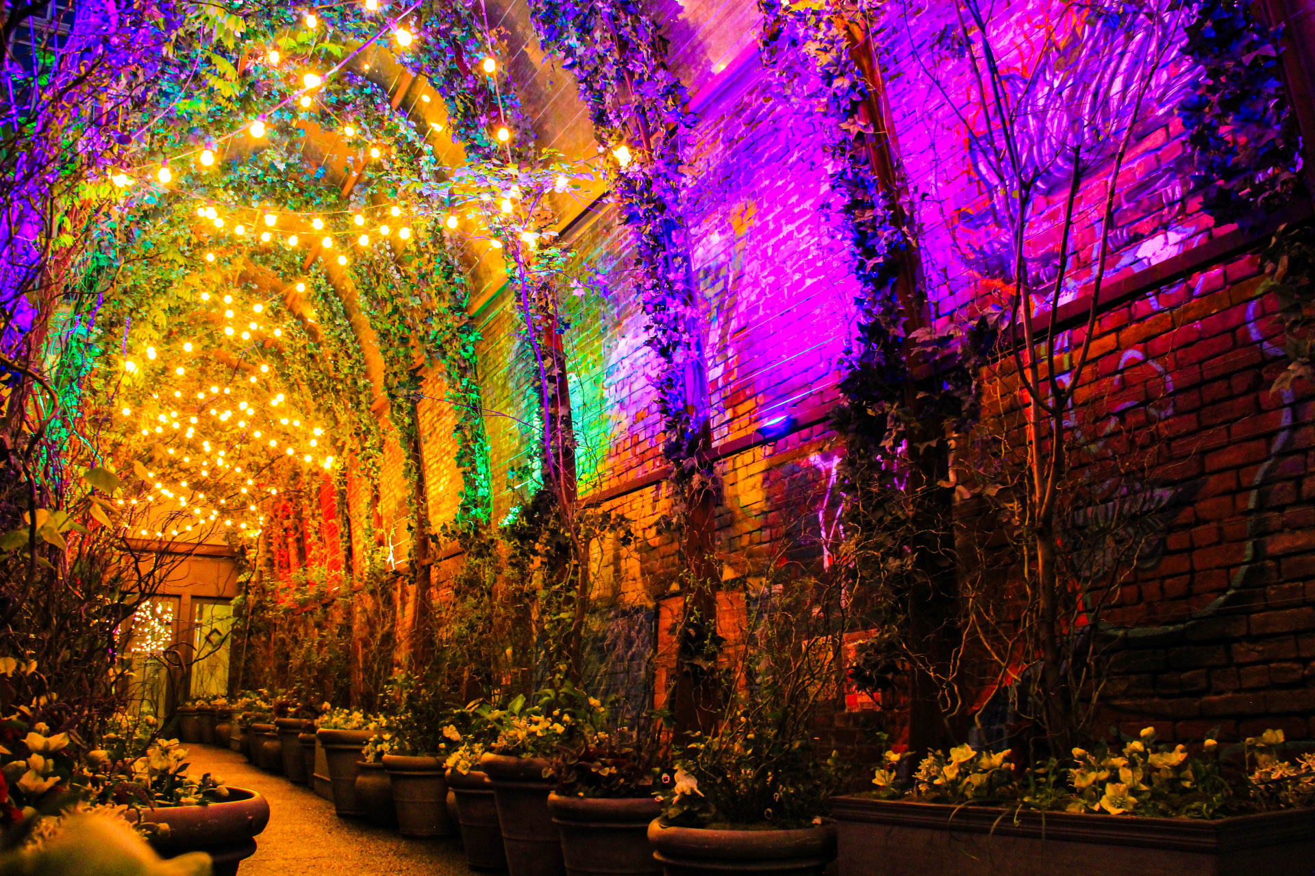 Pride Tunnel Entrance