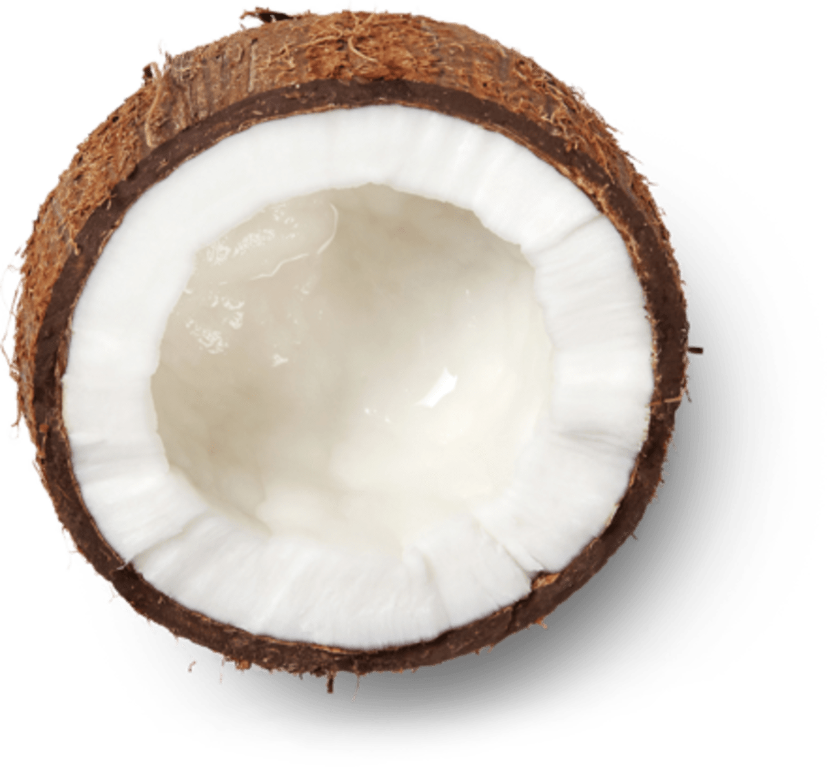 coconut-open