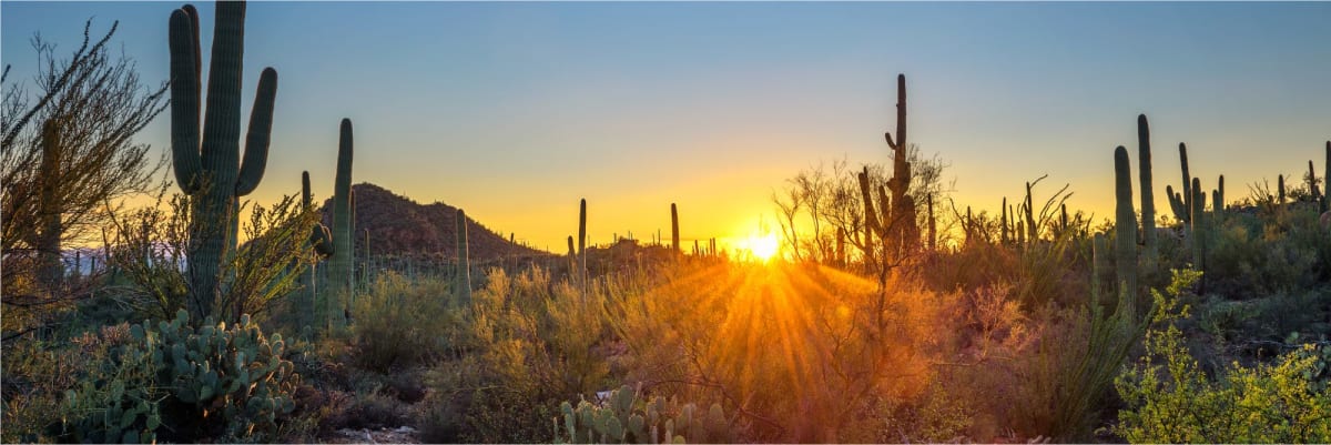 desert-sunset-arizona