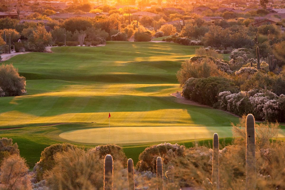 A beautiful desert golf course backlit