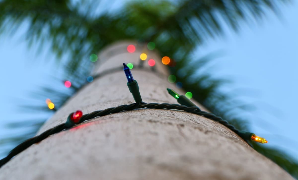 Christmas
