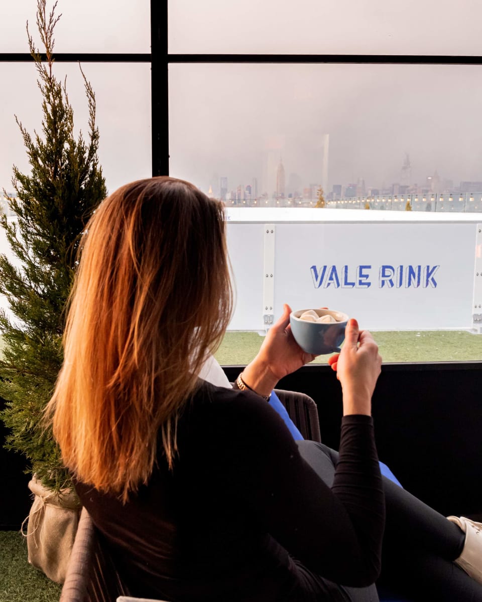 Vale Rink
