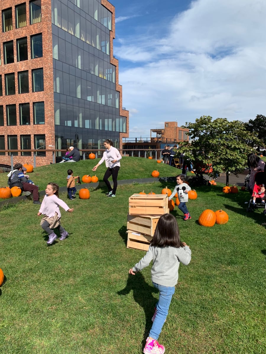 The William Vale Annual Pumpkin Patch