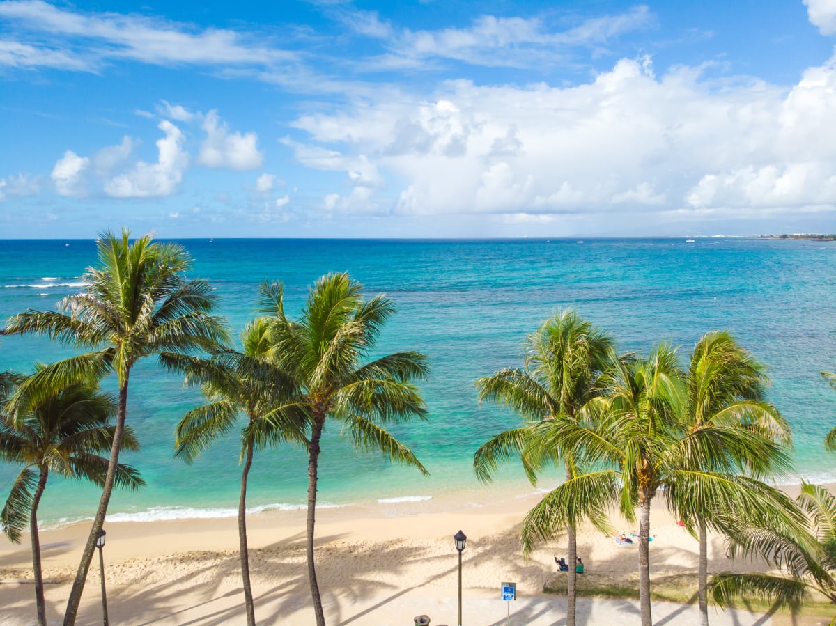 Daytime view of Waikiki Beach with palm trees