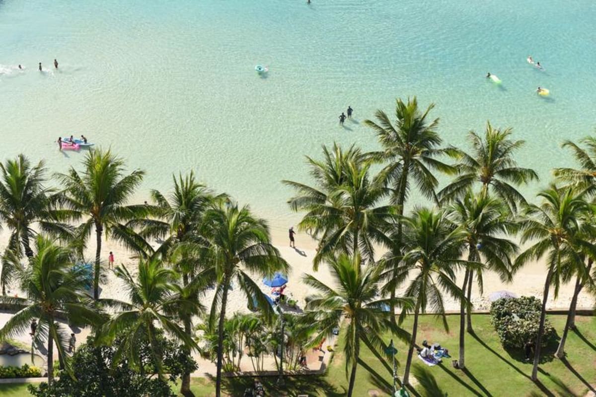 Park Shore_View
