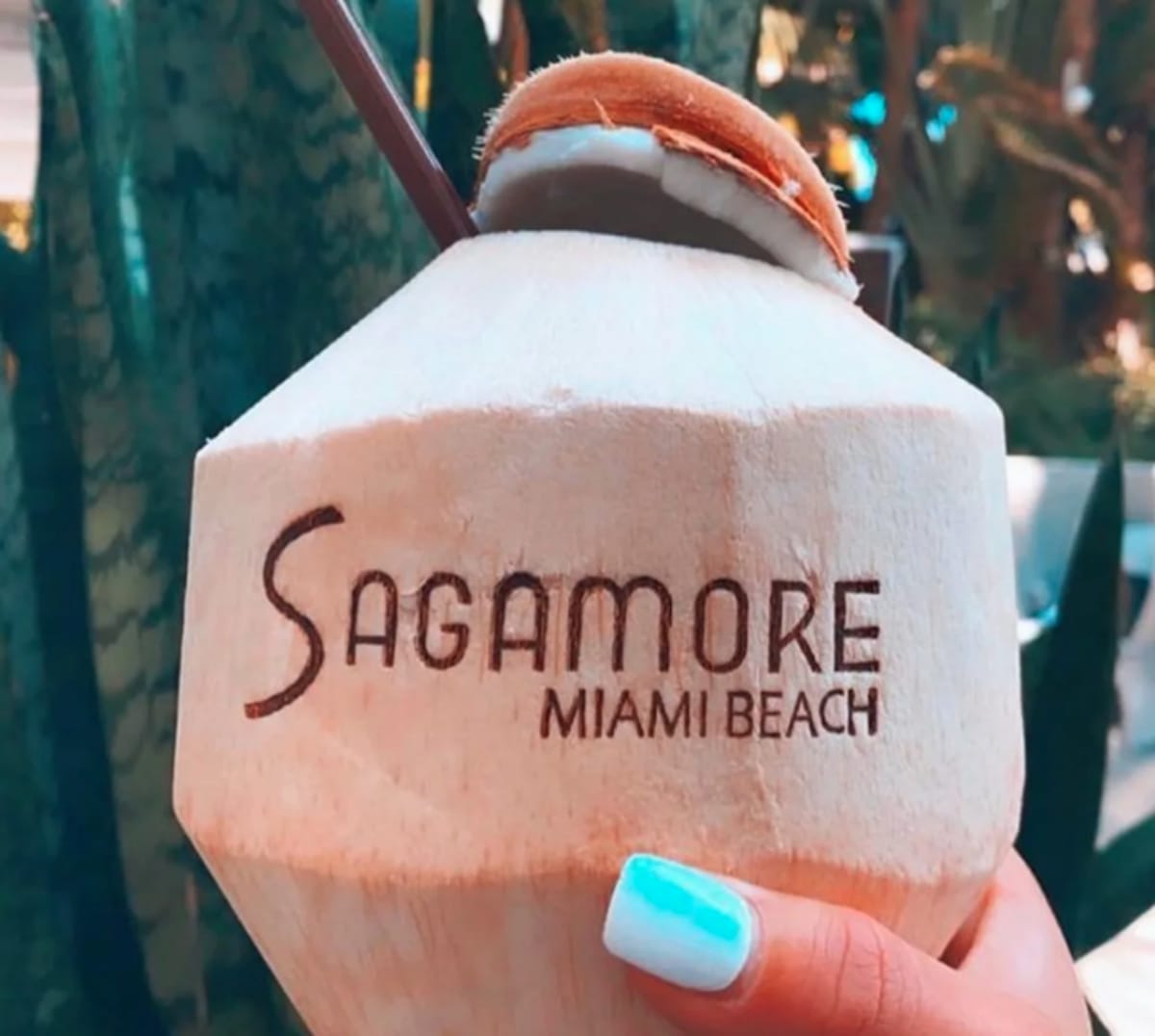 hand-holds-sagamore-engraved-coconut-cocktail