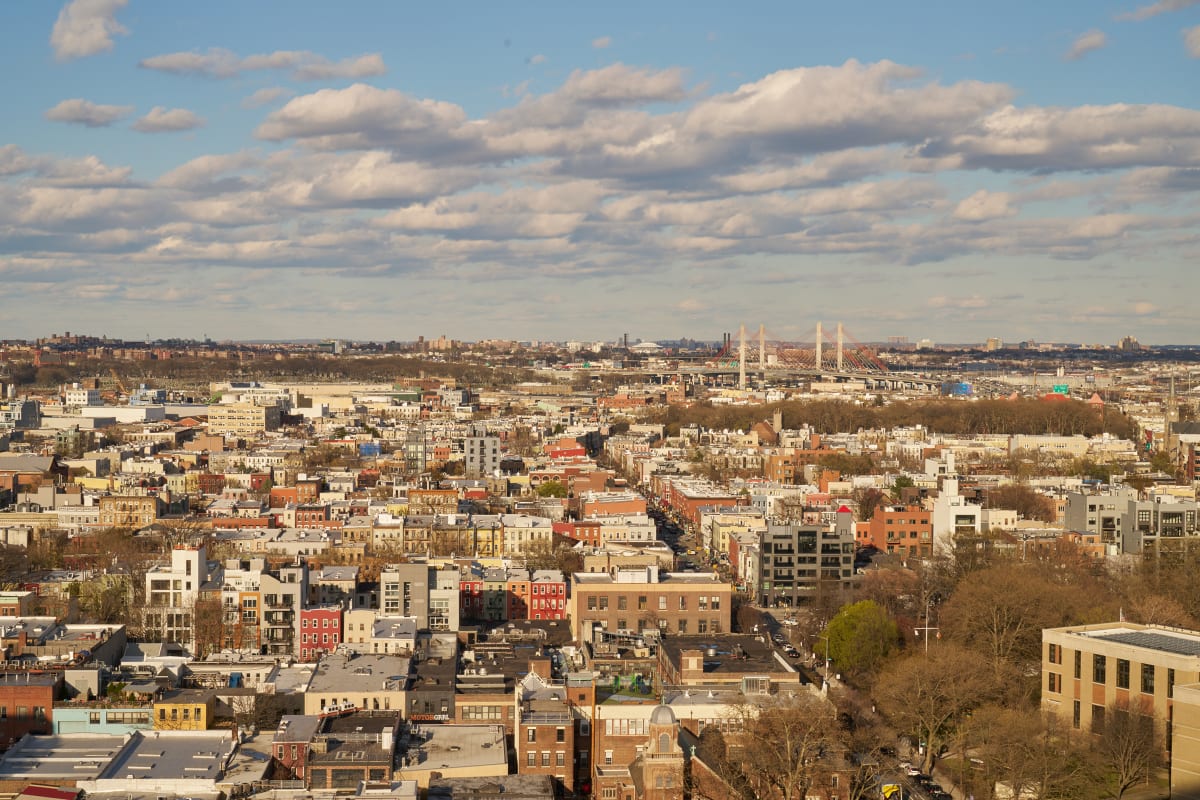 DLT-Queens 2 Image