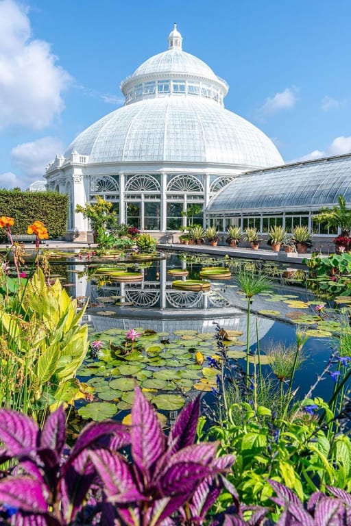 Conservatory Courtyard