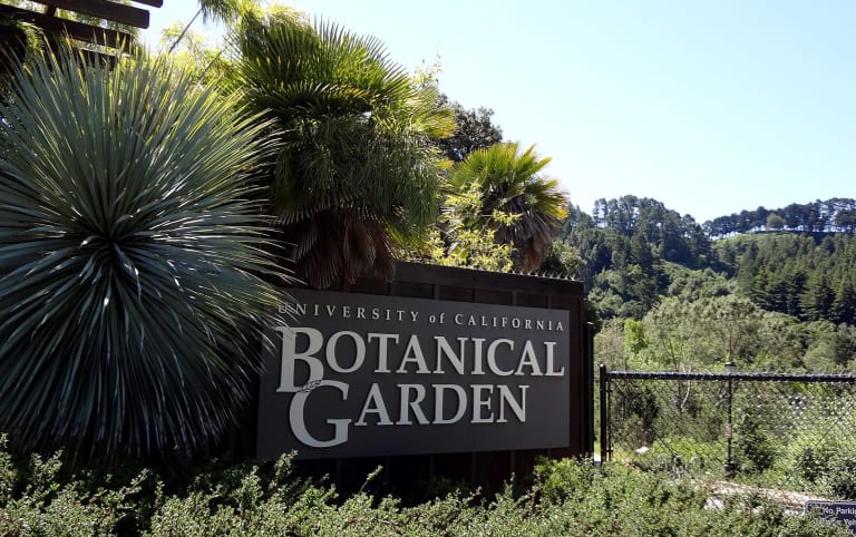 University of California Botanical Gardens