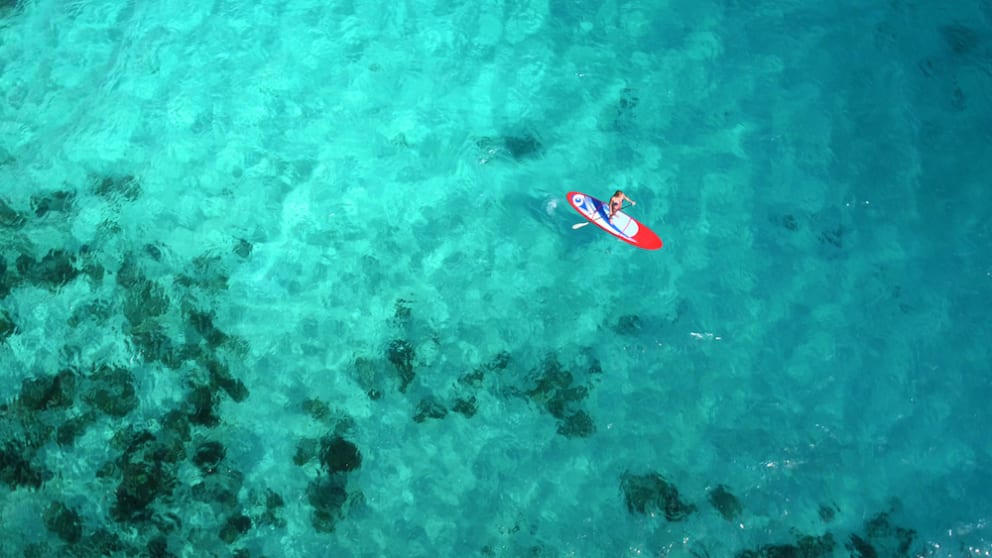 Enjoy Waikiki on the Water