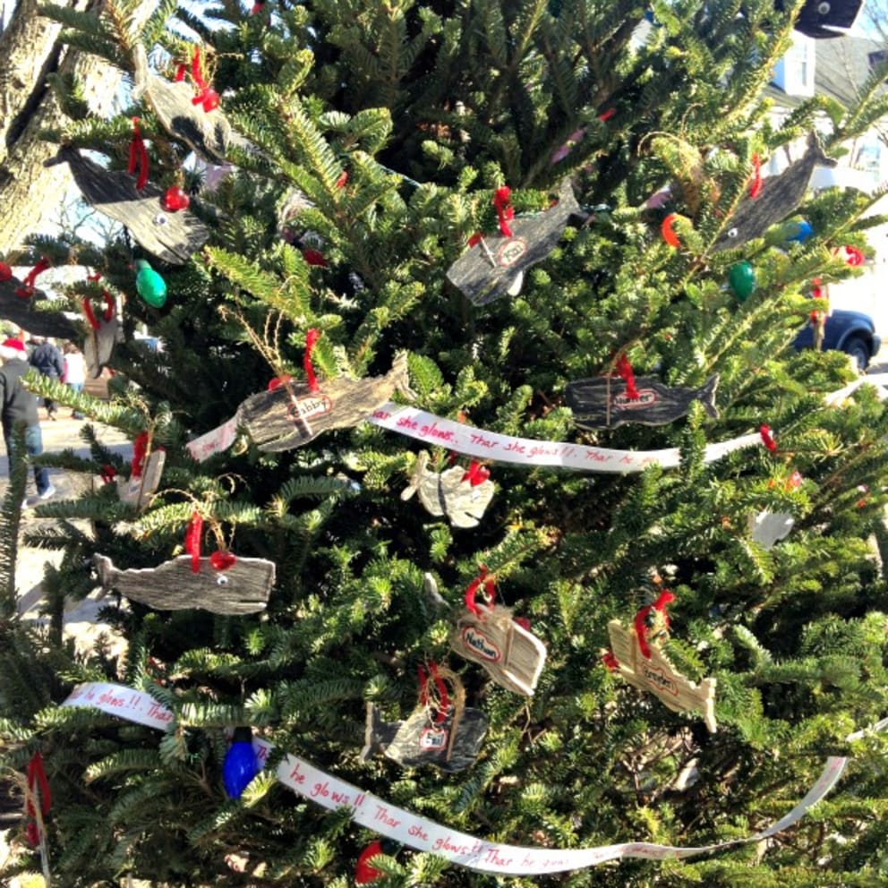 Nantucket Christmas Stroll