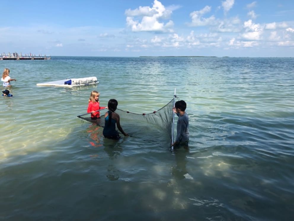 Marine Science Eco Experience