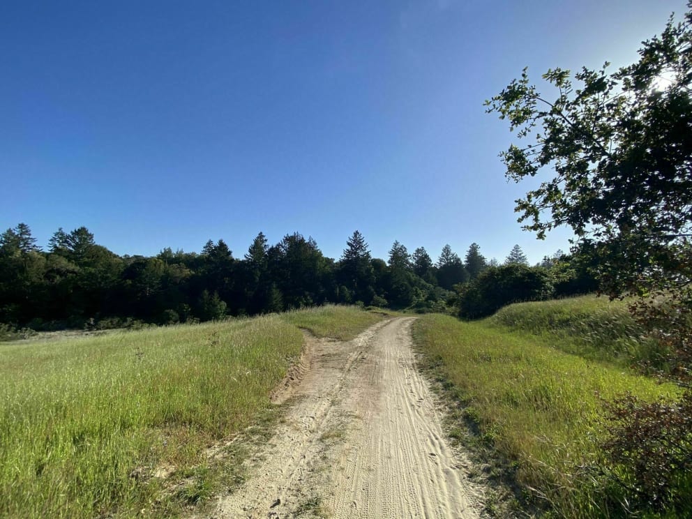 Baldwin Loop