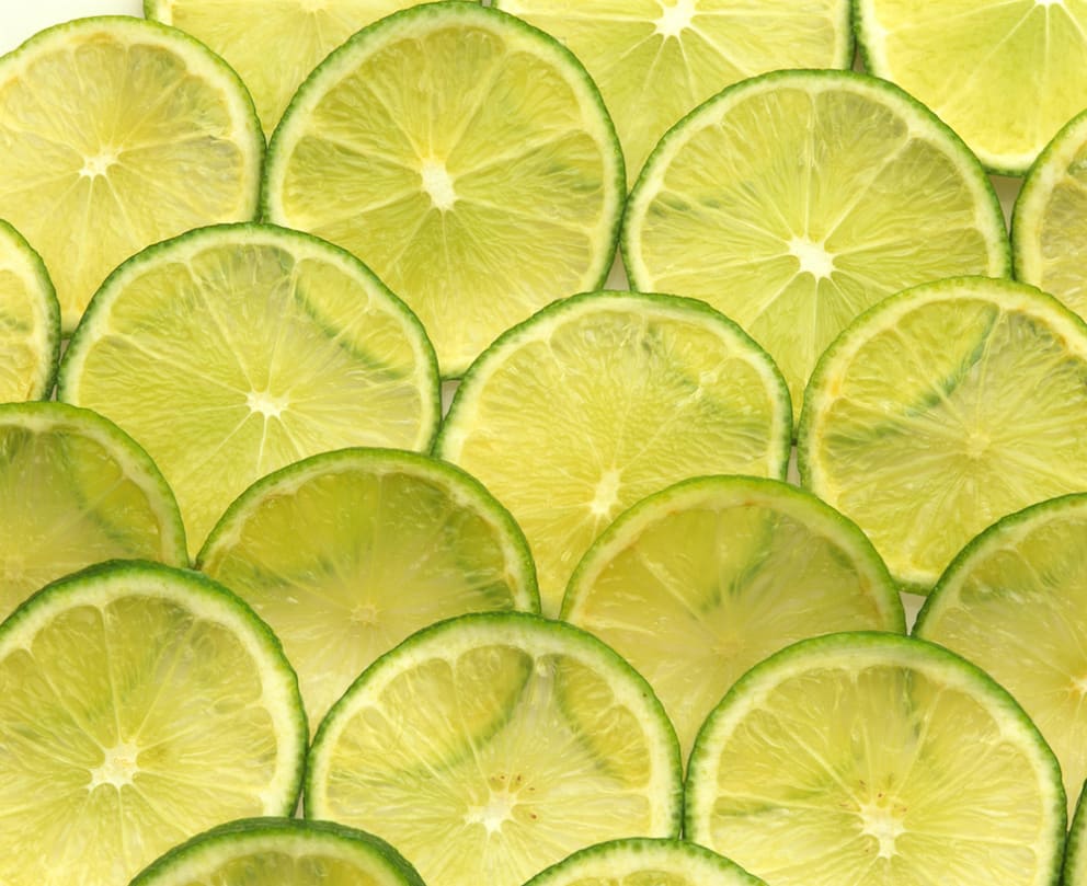 Everything You Need to Know about the Key West Key Lime Festival Everything You Need to Know about the Key West Key Lime Festival
