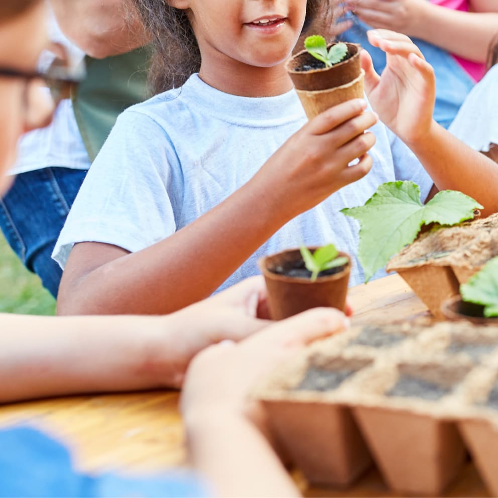 Tiny Green Thumbs