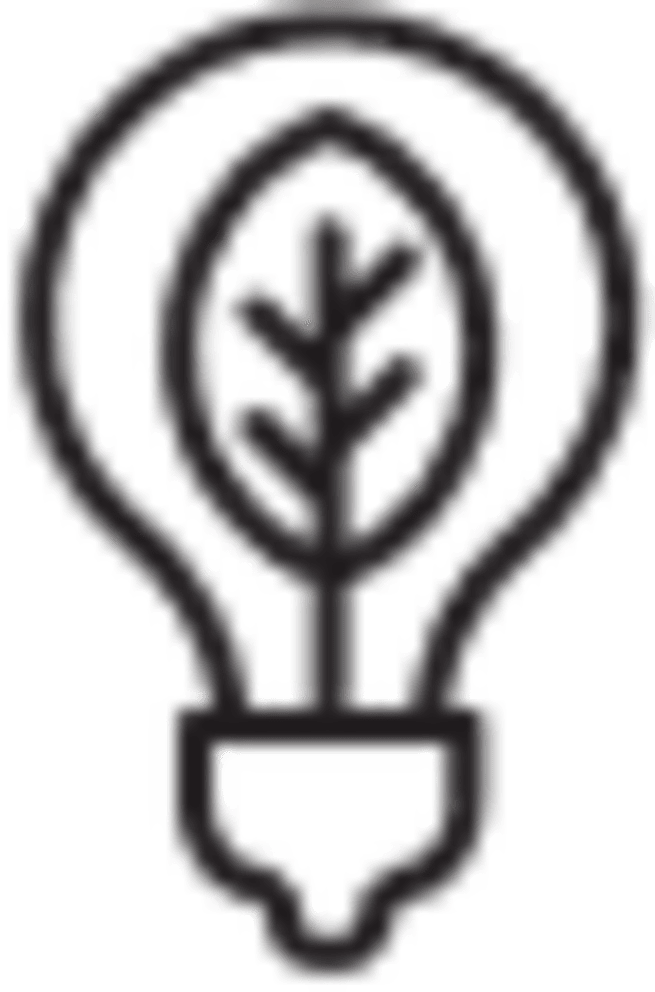 Energy Efficiency