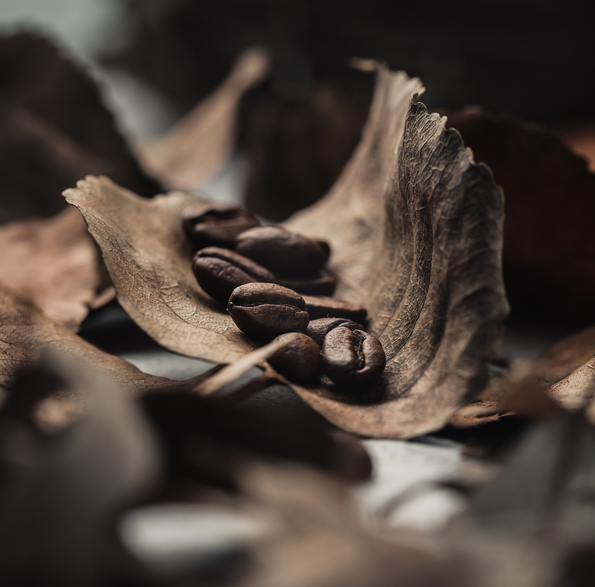 coffee-beans