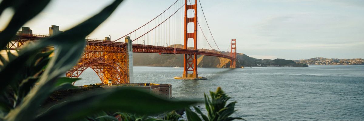 HARVEST ESCAPE special offer