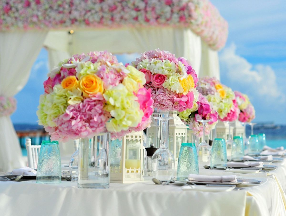 ocean edge flowers
