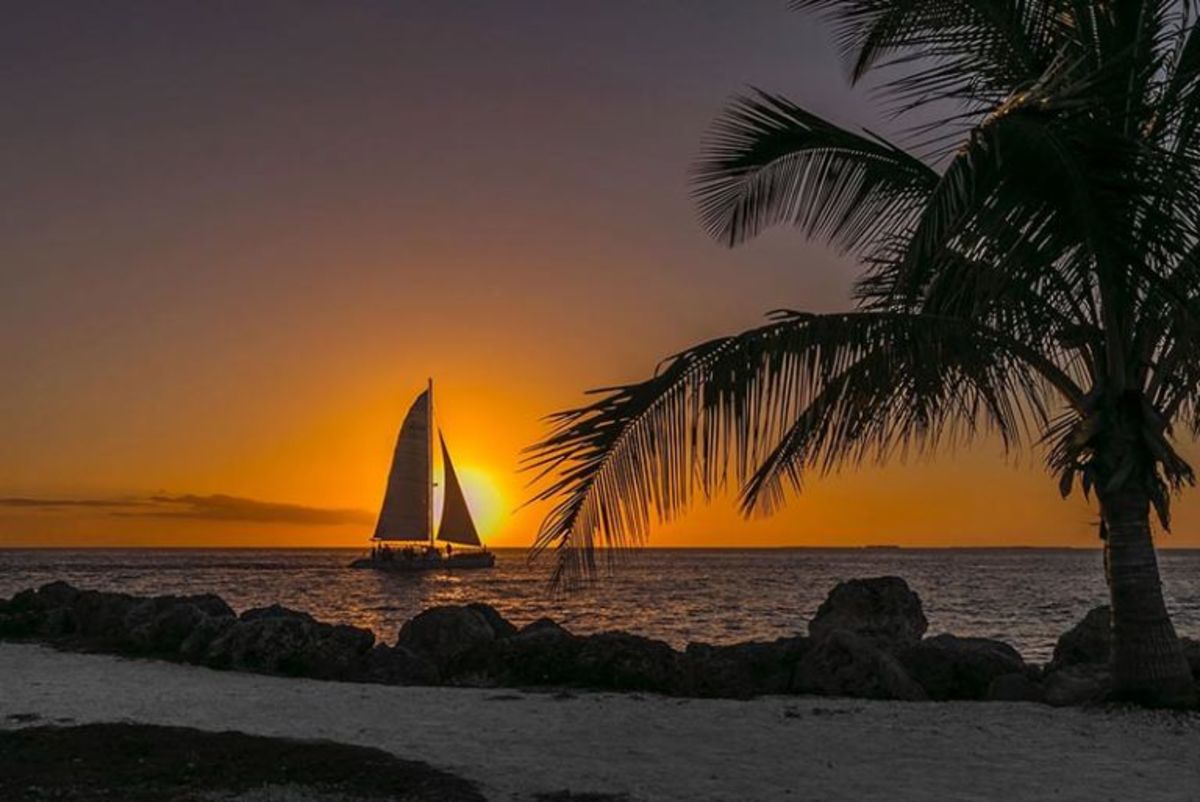 Cyber Sail