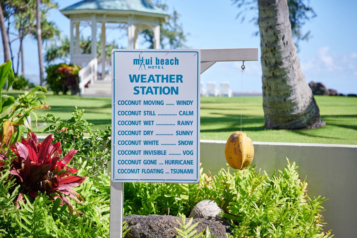Maui-Beach-Hotel-Courtyard-046-4000X2667