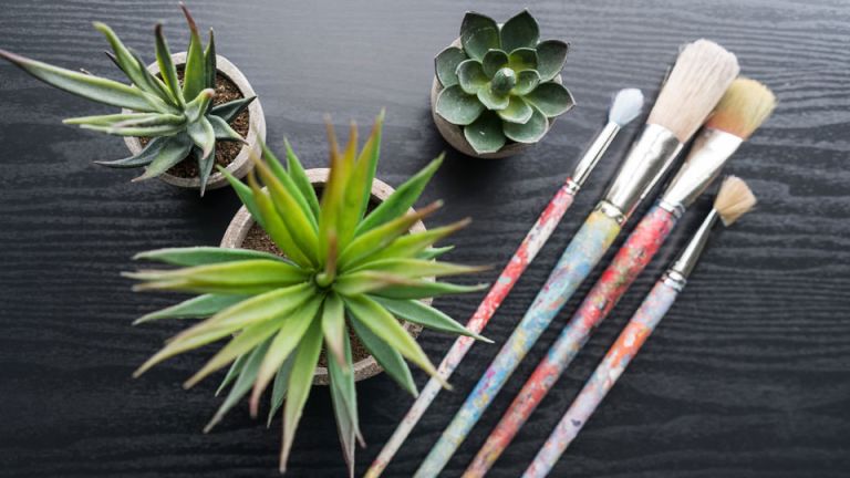 Discover Your Inner Artist with These Creative Classes in Boston