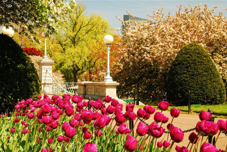 5 Ways to Welcome Spring in Boston