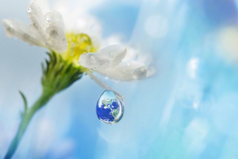 Everyday Sustainable Practices to Start Today