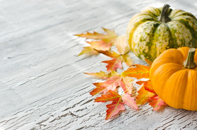 Fall pumpkins