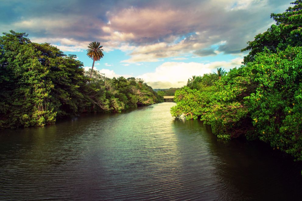 A Quick, Quiet Paddle on the Anahulu River