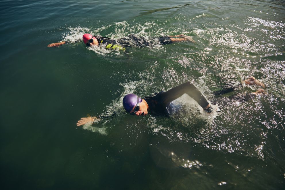 Where to Watch the ‘Swim Around Key West’ Marathon Where to Watch the ‘Swim Around Key West’ Marathon