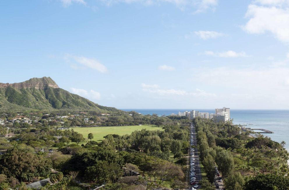 Views of Diamond Head, Kapiolani Park and Pacific Ocean Views of Diamond Head, Kapiolani Park and Pacific Ocean