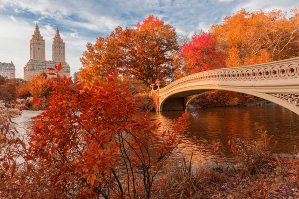 Top New York City Fall Events, 2019