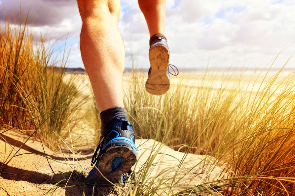 Run, Bike, and Explore Off-Road at the Miami Trail Festival