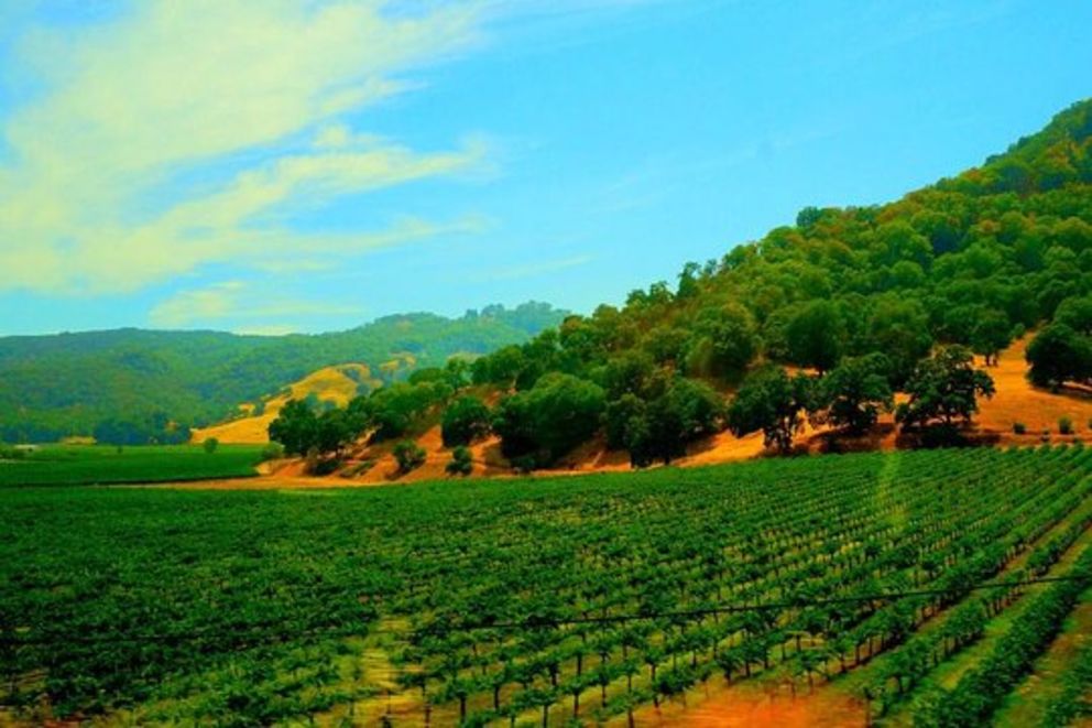 Napa Valley and Sonoma Valley