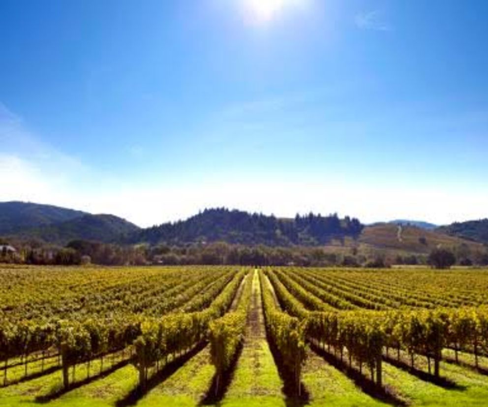 Sonoma
