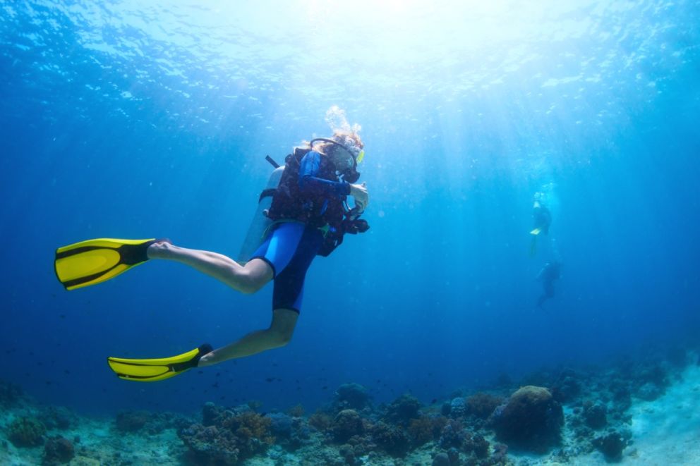 Book scuba diving trips with Oceans Edge Resort and Marina