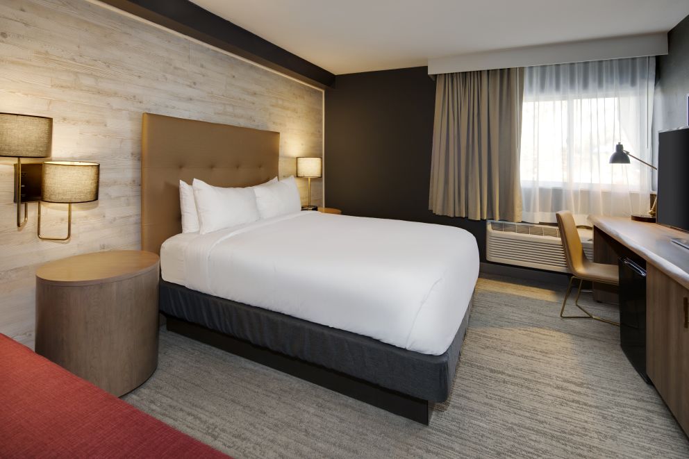 1 KING BED