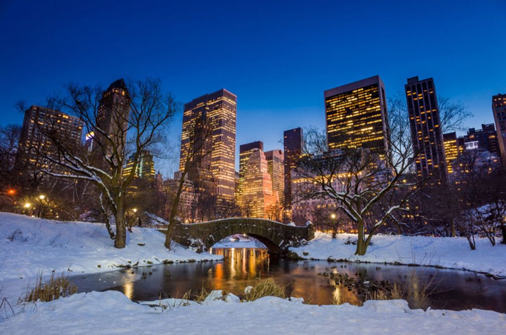 Enjoying the Winter in NYC