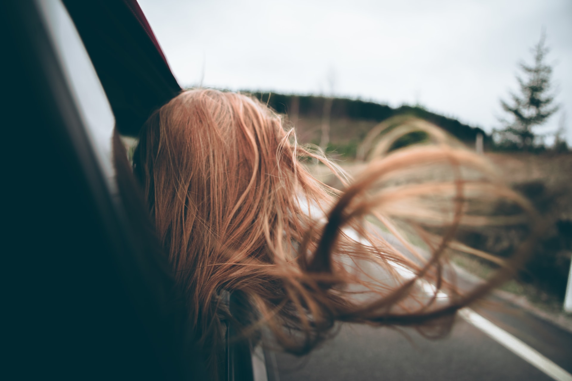 lili-kovac-YjyZYHJufEo-unsplash