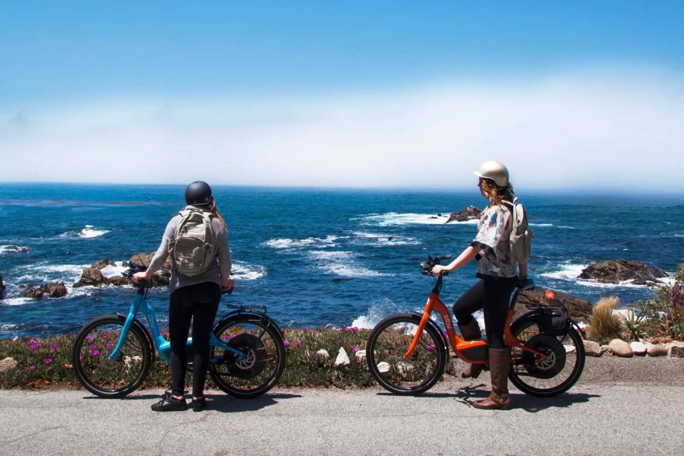 Electric Bike Rentals