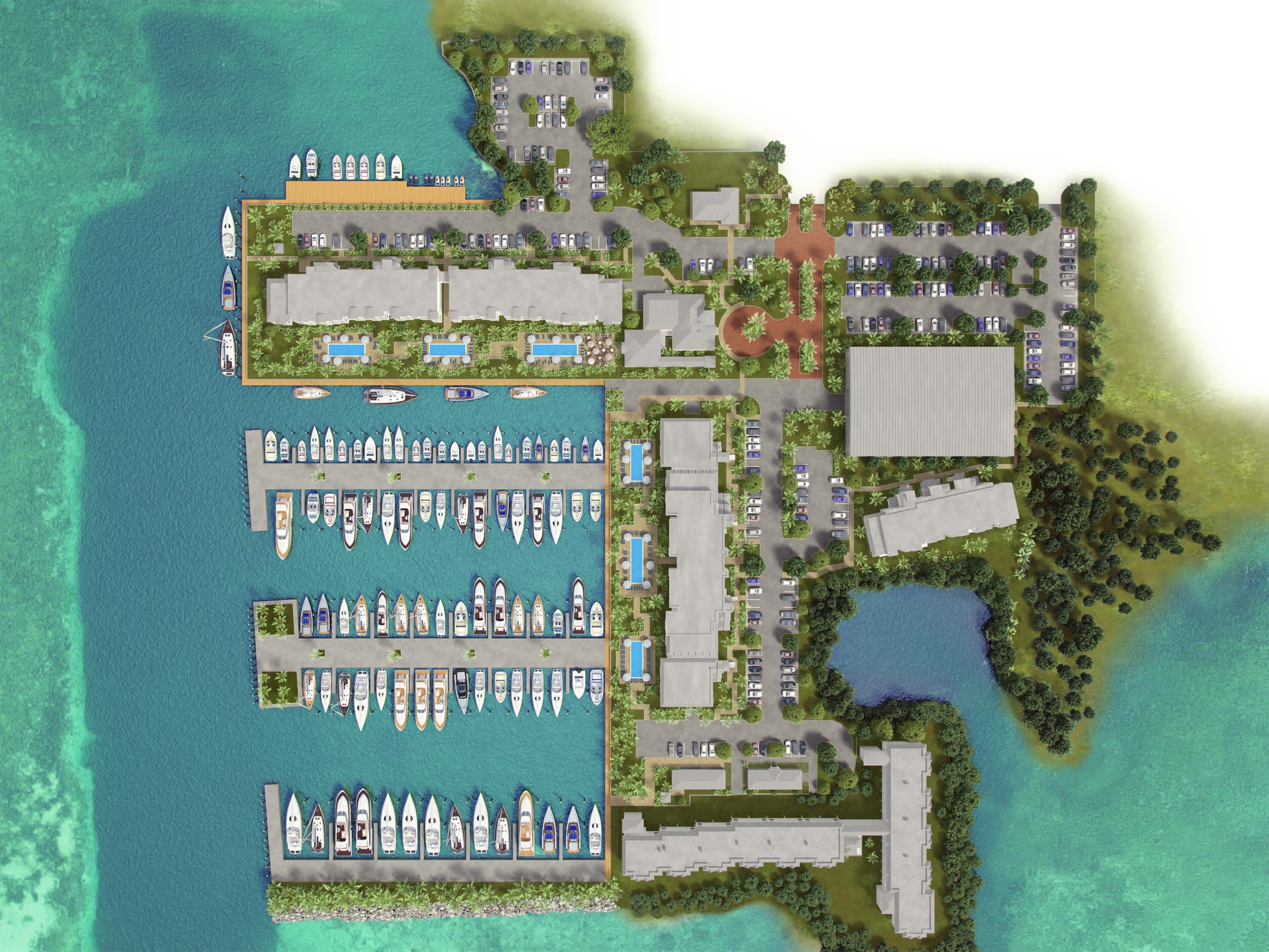 Interactive Map