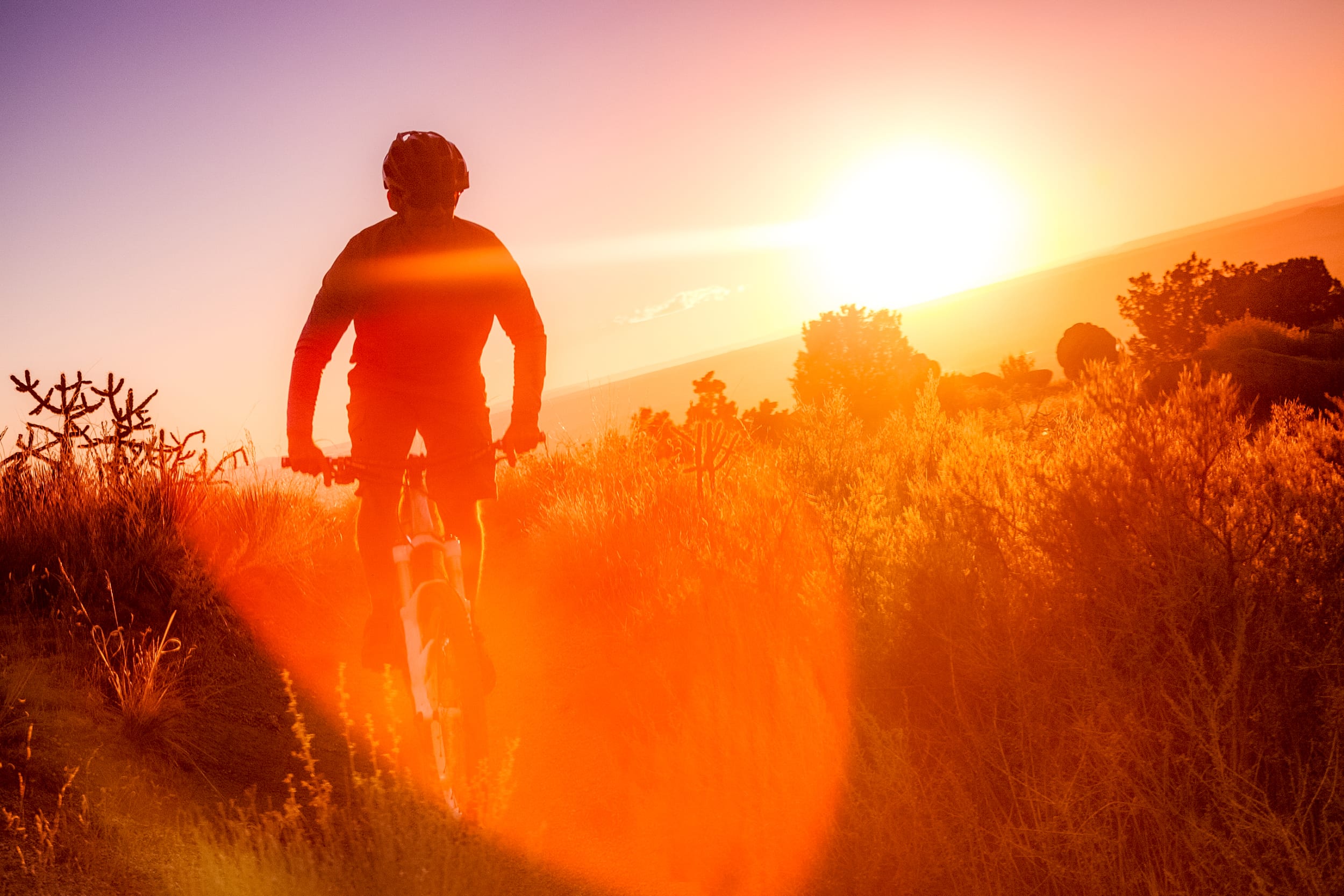 Biking-in-the-afternoon