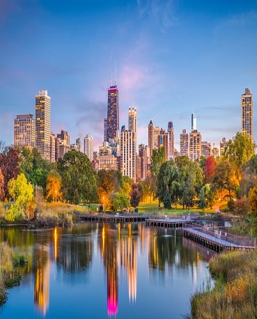 Lincoln Park Skyline