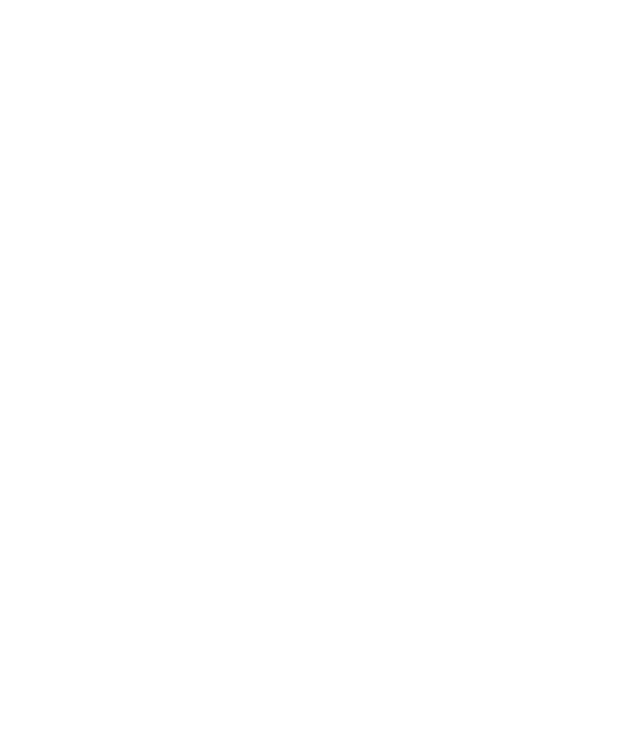 Trip Advisor Badge