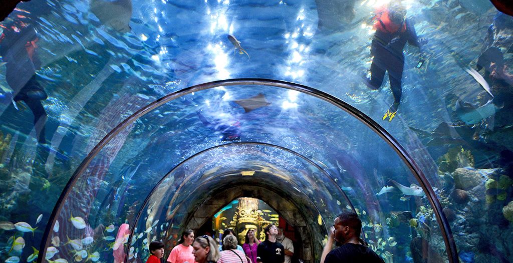 Audubon Aquarium of the Americas